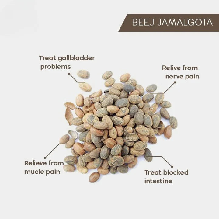 Jamalgota™ - Ayurvedic Hair Growth Powder - (Buy 1 Get 1 FREE🔥🔥)